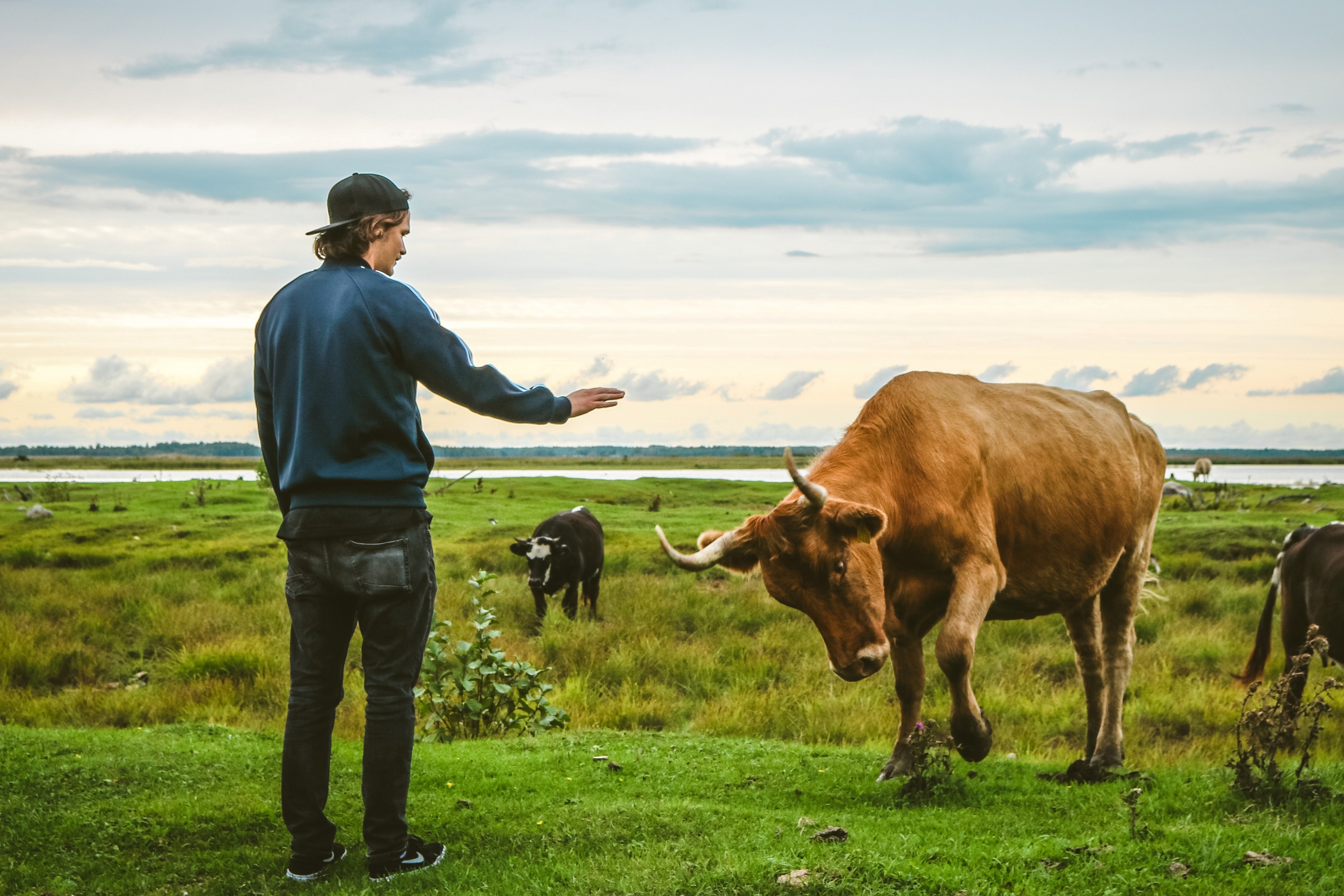 The Distillery Nation Podcast - What's Your Cash Cow?