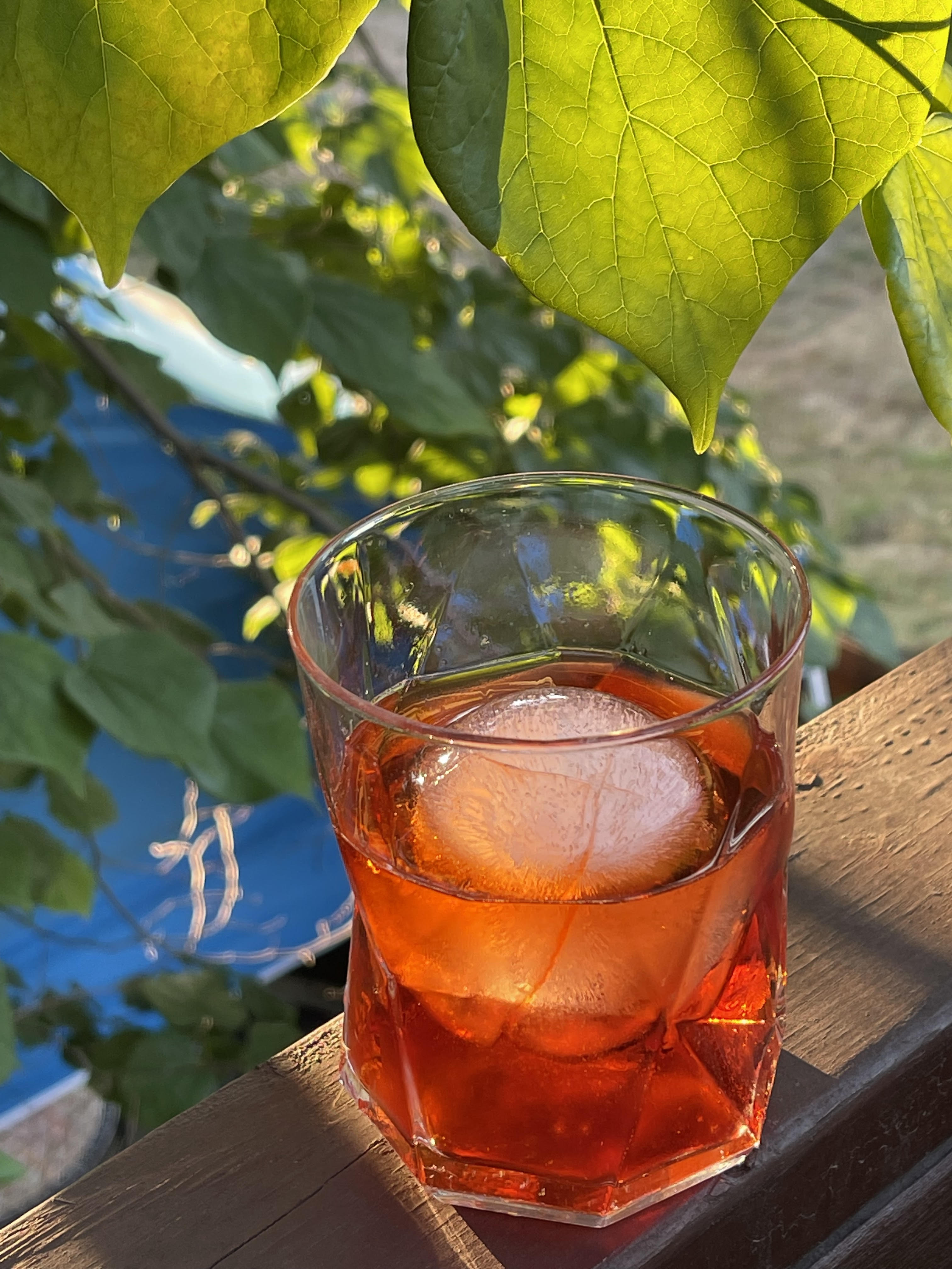 Grappa Negroni