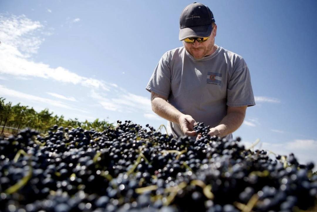 Navigating the Headwinds: Insights from Mark Beres on the Craft Spirits Landscape (Part 1)