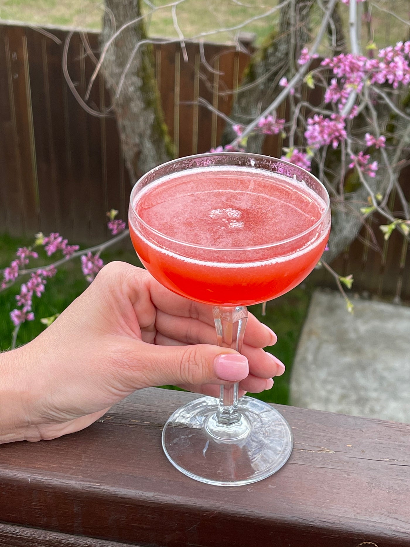 Rakomelo Raspberry